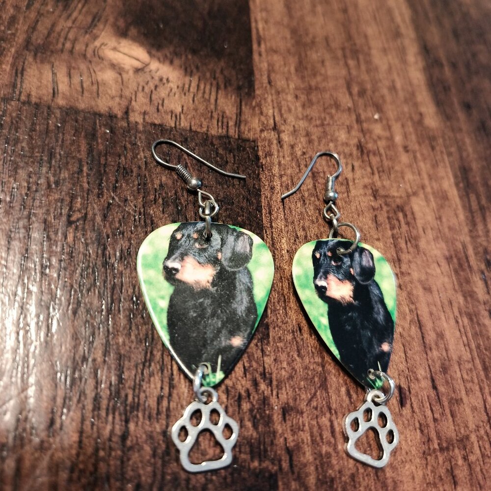 ROTTWEILER  BABY DOG BREED GUITAR PICK EARRINGS